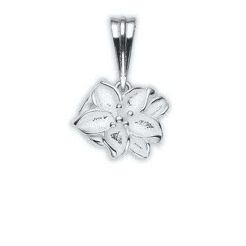 Sudraba kulons 004 (B)