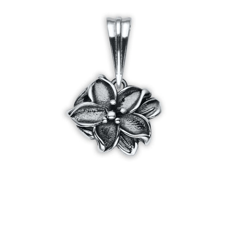 Sudraba kulons 004 (M)